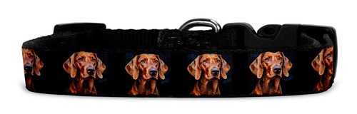 Hundehalsband aus textil mit - aus,