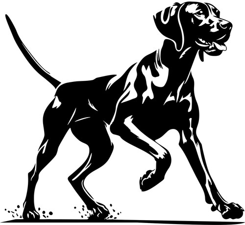 Magyar vizsla aufkleber - magyar,