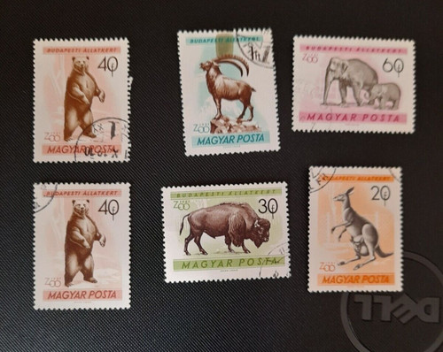 Magyar 1961 zoo - 1961, nr