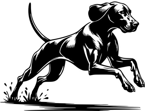 Magyar vizsla aufkleber - magyar,