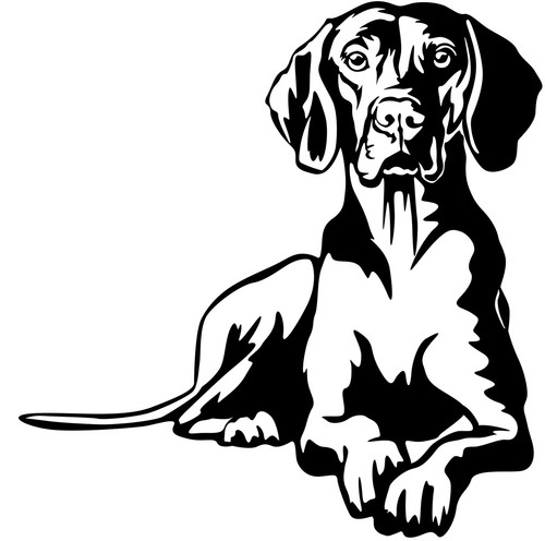 Magyar vizsla aufkleber - magyar,