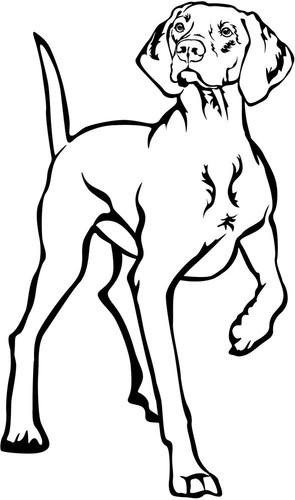 Magyar vizsla aufkleber - magyar,