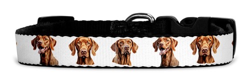Hundehalsband aus textil - hundehalsband, mit