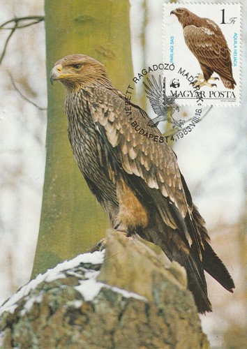 Maximum karte kaiseradler - maximum-karte,,