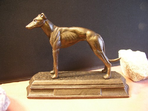 Magyar agár windhund - magyar,