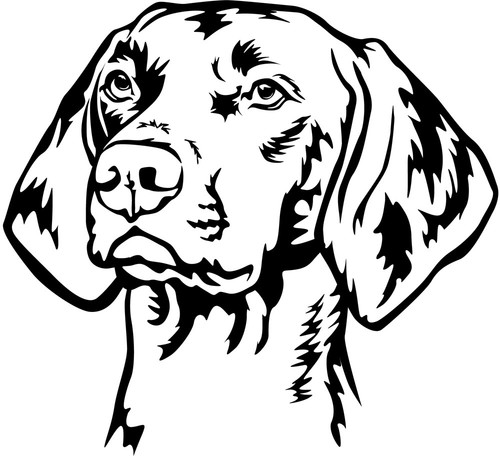 Magyar vizsla aufkleber - magyar,