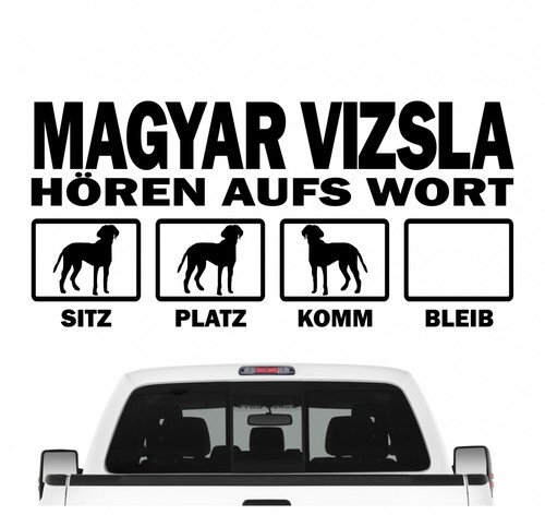 Magyar vizsla vorstehhund - vizsla,