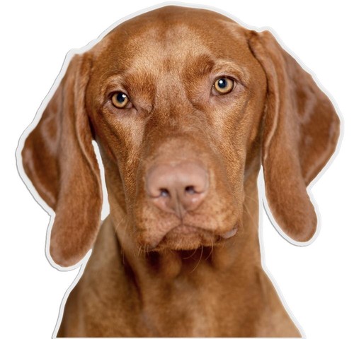 Designer aufkleber sticker - designer,